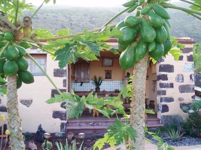 Pensjonat Casa De Mi Abuela Maria Jerez de la Jerez de la Frontera Zewnętrze zdjęcie